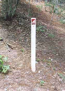 Marker